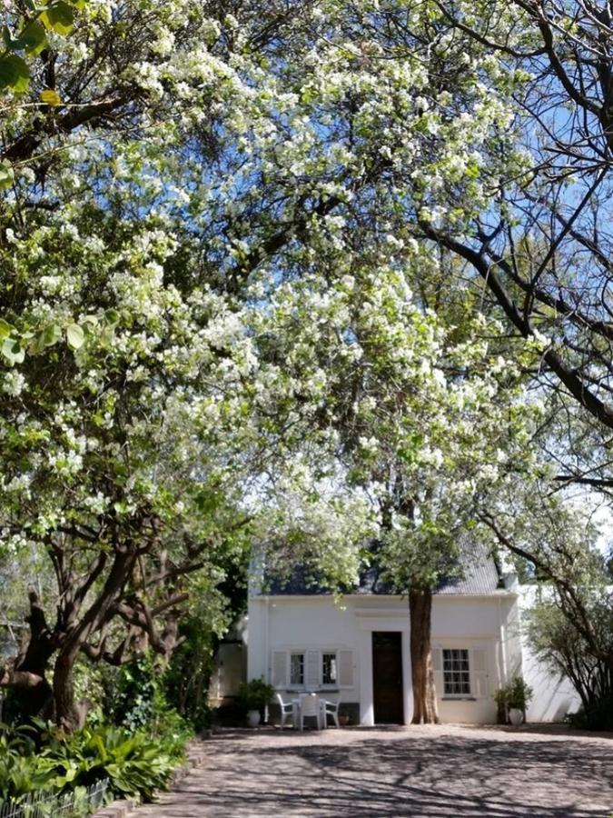 Little Green World Beaufort West Eksteriør billede